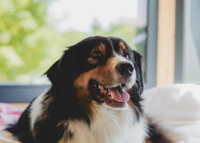 Dom wakacyjny Parcel Tiny House I Richecourt Vue