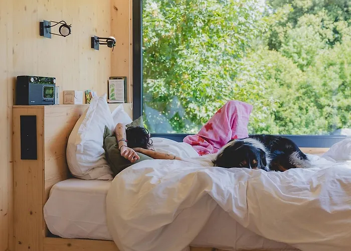 Parcel Tiny House I Richecourt Vue Mesbrecourt-Richecourt