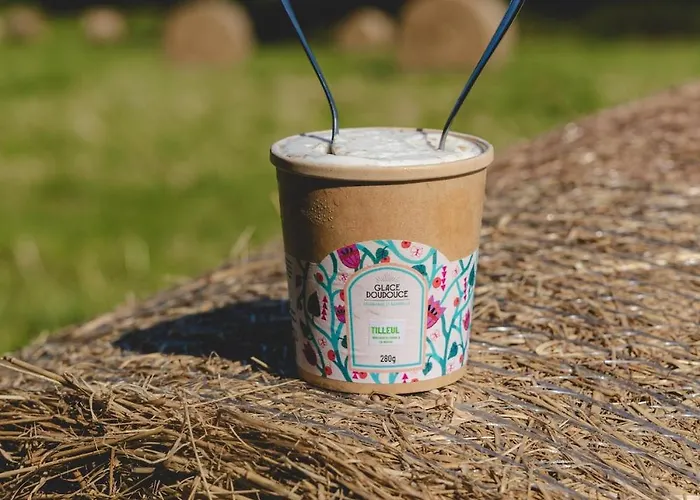 Vakantiehuis Parcel Tiny House I Richecourt Vue *